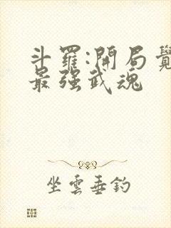 斗罗:开局觉醒最强武魂