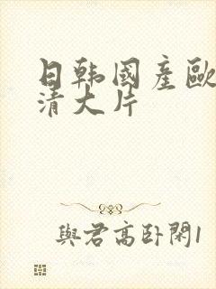 日韩国产欧美高清大片