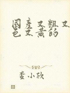 国产又粗又猛又色又黄的