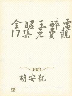 金昭玉醉电视剧17集免费观看