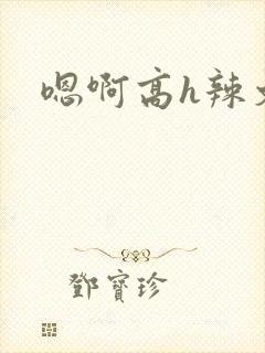 嗯啊高h辣文