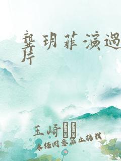 龚玥菲演过的影片