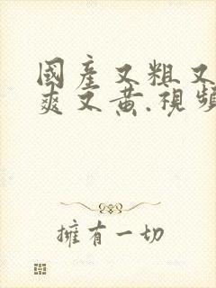 国产又粗又猛又爽又黄.视频