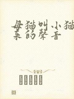母猫叫小猫咪过来的声音