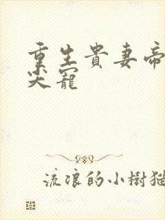 重生贵妻帝少心尖宠