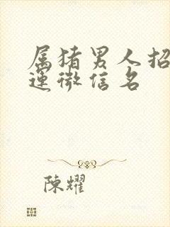 属猪男人招财旺运微信名