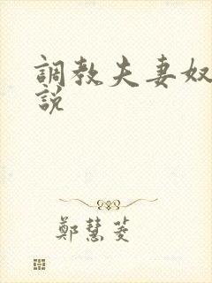 调教夫妻奴的小说