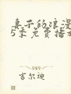 妻子的浪漫旅行5季免费播放