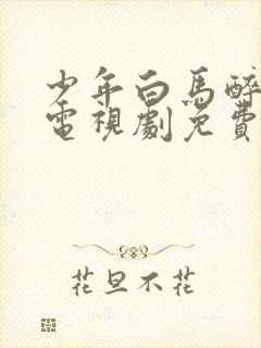 少年白马醉春风电视剧免费观看21