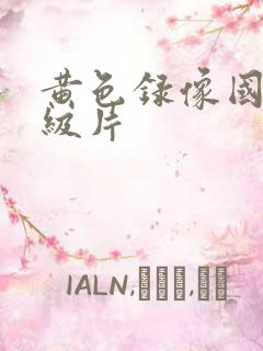 黄色录像国产一级片