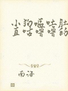 小狗呕吐肚子一直咕噜噜的