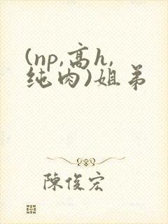 (np,高h,纯肉)姐弟