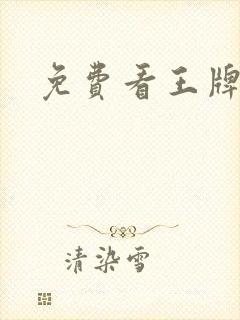 免费看王牌部队