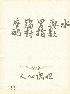 摩羯男与水瓶女配对指数