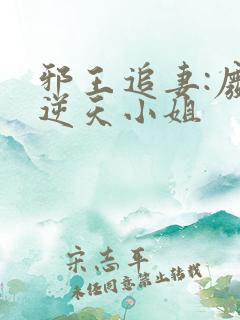 邪王追妻:废材逆天小姐