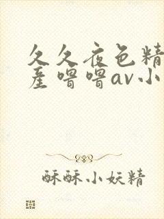 久久夜色精品国产噜噜av小说