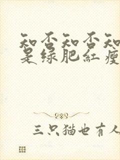 知否知否知否应是绿肥红瘦是谁的词