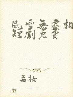 风雪无尽相思情短剧免费