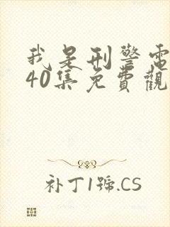 我是刑警电视剧40集免费观看