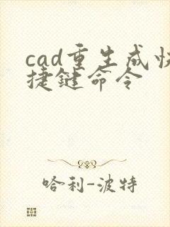 cad重生成快捷键命令