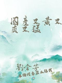 国产又黄又大又爽又猛