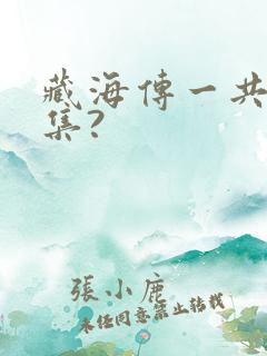 藏海传一共多少集?