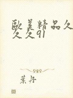 欧美精品久久久久久91