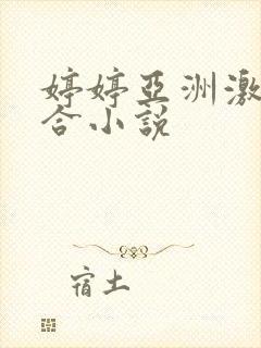 婷婷亚洲激情综合小说