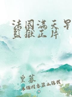 法国满天星高压监狱正片