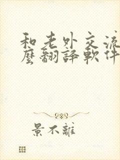 和老外交流用什么翻译软件