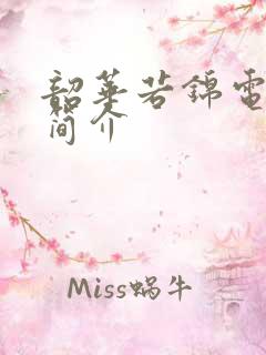 韶华若锦电视剧简介