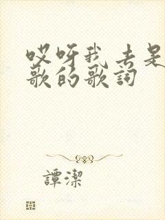 哎呀我去是哪首歌的歌词