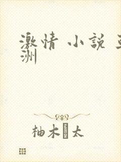 激情 小说 亚洲