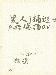 男人j桶进女人p无遮挡av