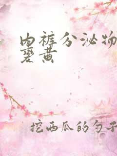 内裤分泌物干了变黄