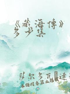 《藏海传》一共多少集