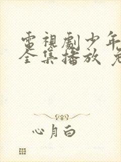 电视剧少年派2全集播放 免费