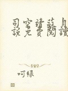 司空靖苏月汐小说免费阅读