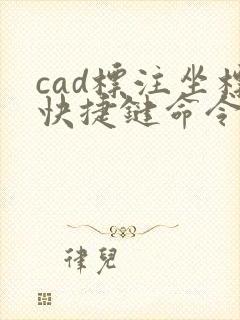 cad标注坐标快捷键命令
