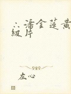 ∴潘金莲黄色一级片