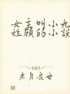 女主叫小九男主姓顾的小说