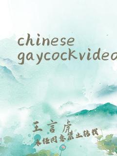 chinesegaycockvideo