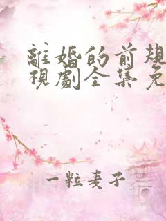 离婚的前规则电视剧全集免费观看