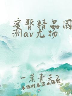 蜜臀精品国产亚洲av尤物