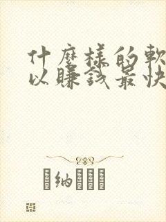 什么样的软件可以赚钱最快最多