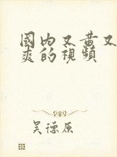 国内又黄又色又爽的视频