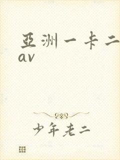 亚洲一卡二不卡av