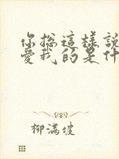 你总这样说你是爱我的是什么歌