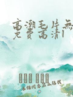 高潮毛片无遮挡免费高清l