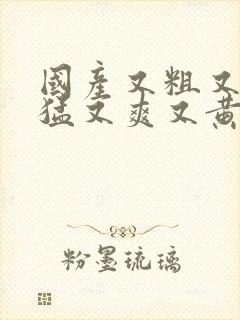 国产又粗又长又猛又爽又黄的视频